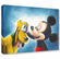 Sophie Ellen Signed Disney Ltd Ed Gallery Wrap Canvas:"Friends Forever"
