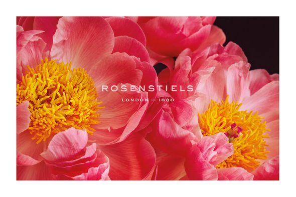 Irene Suchocki Hand Numbered Limited Edition Print on Paper :"The Power of Petals"