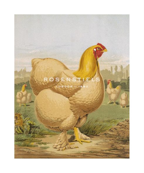 J. W. Ludlow Hand Numbered Limited Edition Print on Paper :"Buff Cochin Hen, "Blossom""
