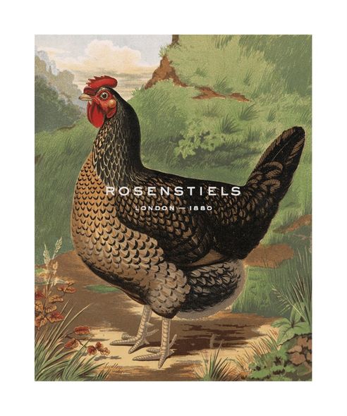 J. W. Ludlow Hand Numbered Limited Edition Print on Paper :"Mr. John Martin's Single Combed Dorking Hen"