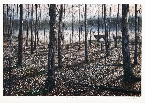 Jake Vandenbrink Artist Hand-signed Limited Edition Lithograph: "HARDWOOD TRAIL"