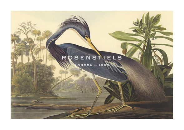 James Audubon Hand Numbered Limited Edition Print on Paper :"Louisiana Heron"