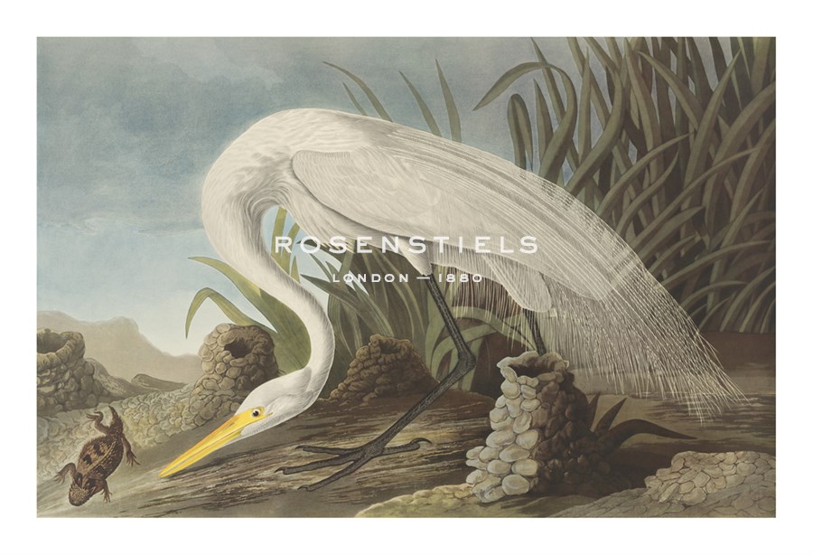 James Audubon Hand Numbered Limited Edition Print on Paper :"White Heron"