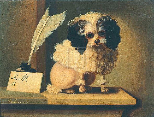 James de Lamond Hand Numbered Limited Edition Print on Paper :"Poodle"