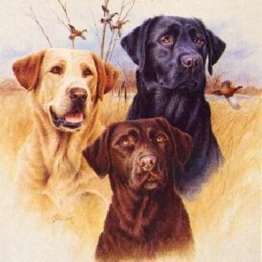 JAMES KILLEN 26X18 Secondary Market Art: "GREAT HUNT DOG I LABS"