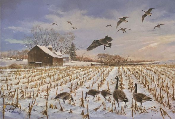 James Killen Artist Proof:"The Gathering-Canada Geese "