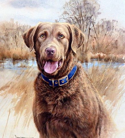 James Killen Artist Proof:"That's My Dog Too-Chesapeake"