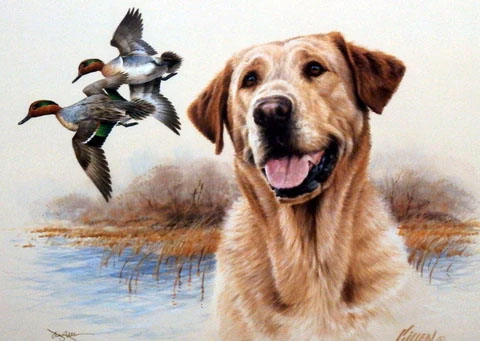 James Killen Print- Limited Edition:"In the Marsh Yellow Lab"