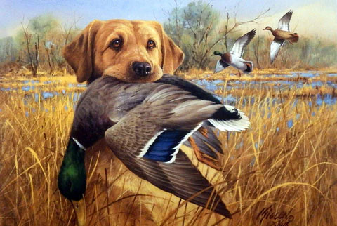 James Killen Print-Signed and Numbered:"Great Retrievers-Yellow Labrador-Mallards"