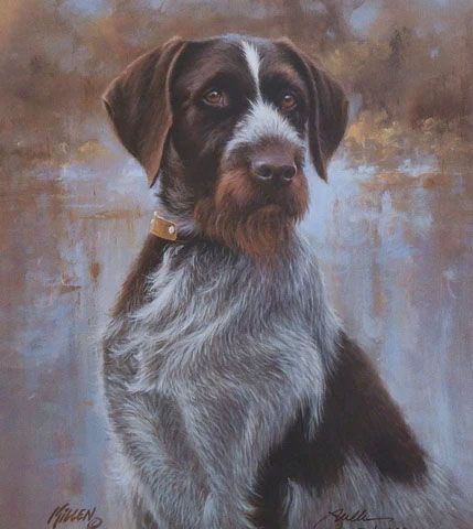 James Killen Print-Signed and Numbered:"That's my Dog Too Drahthaar"