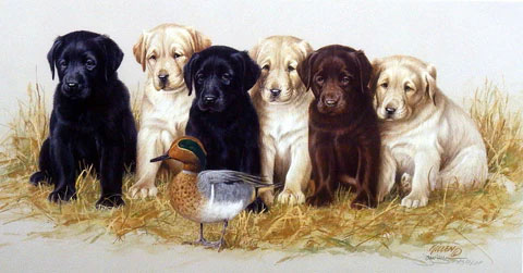 James Killen Print-Signed and Numbered:"The Greenhorns"