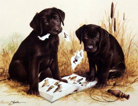 James Killen Print-Signed:"Great Beginnings-Chocolate Lab"
