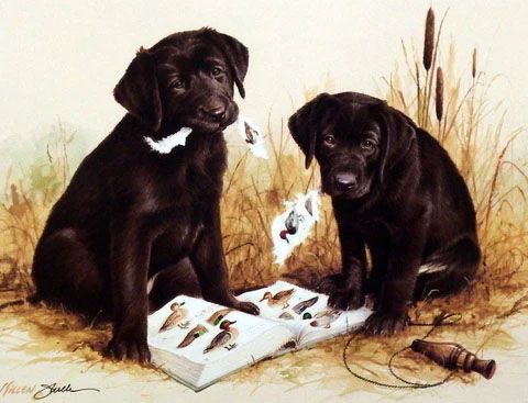James Killen Print-Signed:"Great Beginnings-Chocolate Lab"