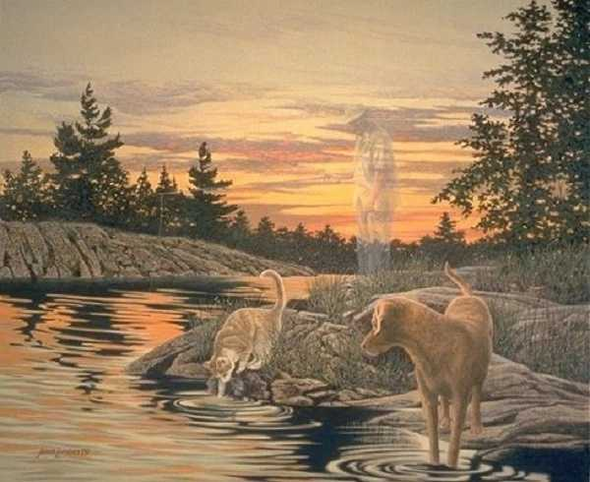James Lumbers Limited Edition Print: "Morning Reflections"