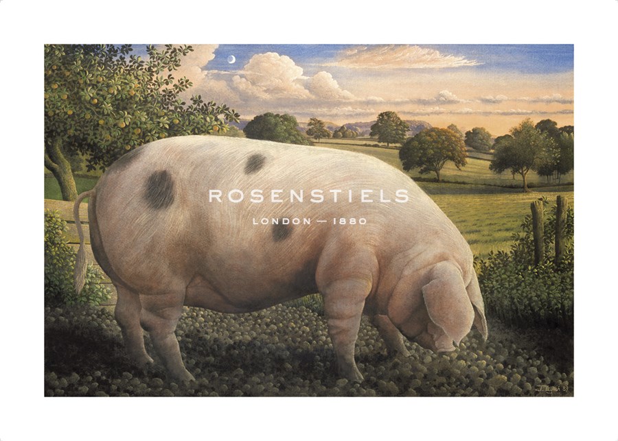 James Lynch Hand Numbered Limited Edition Print on Paper :"Gloucester Old Spot"