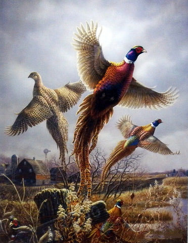 James Meger Print-Signed:"Royal Flush"