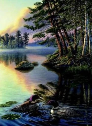 James Meger Signed and Numbered Limited Edition Lithograph: "Gaviidae"
