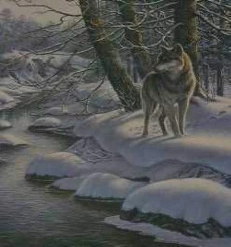 James Meger Signed and Numbered Limited Edition Lithograph: "Hidden Game Timber Wolf" James Meger Signed and Numbered Limited Edition Lithograph: "Hidden Game Timber Wolf"