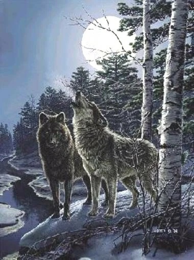 James Meger Signed and Numbered Limited Edition Lithograph: "Moon Light Sonata"