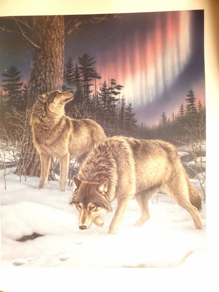 James Meger Signed Limited Edition Print : "Night Lights"