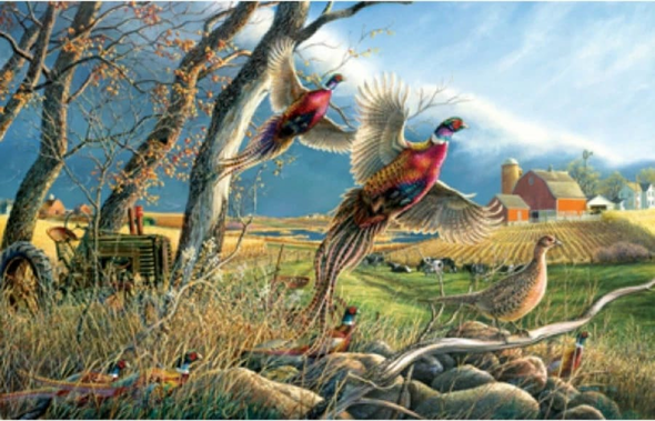 James Meger Signed Limited Edition Print :"The Front"