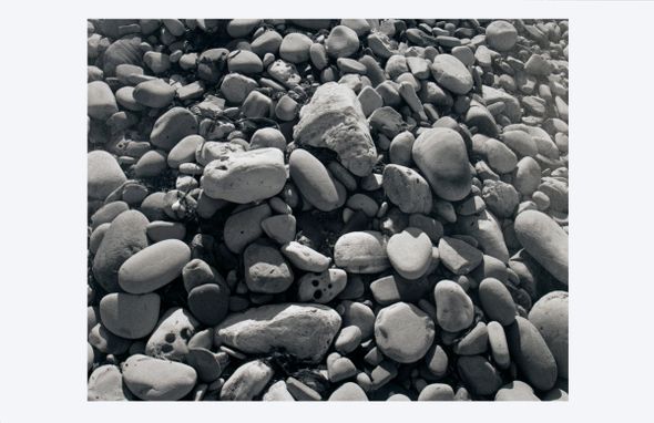 James Welling Rare Vintage Artist Signed Giclee: "Ellwood Beach 25"