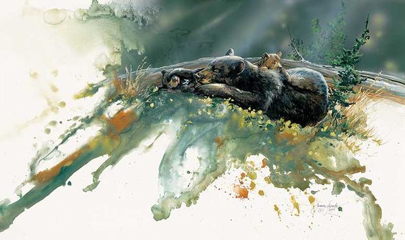 Janene Grende Handsigned and Numbered Limited Edition Print:"Sunbathing-Black Bear"