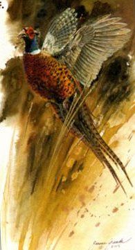 Janene Grende Handsigned & Numbered Limited Edition Print:"Flushed Pheasant"