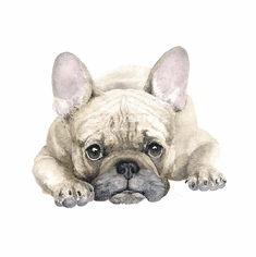 Gallerydirectart