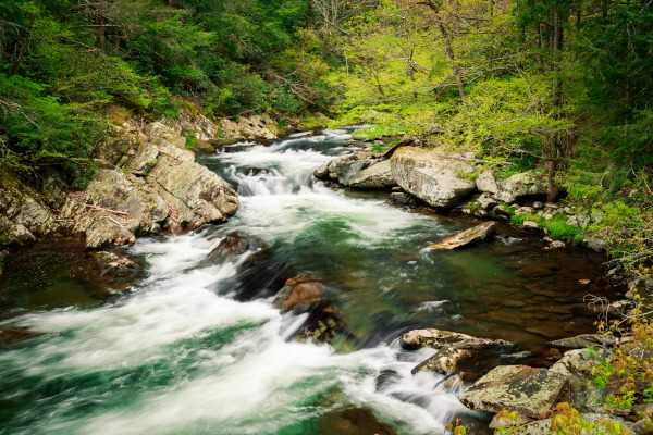 Jason Clemmons 24 x 36 Open Edition Giclee on Canvas:"Along the Little River"
