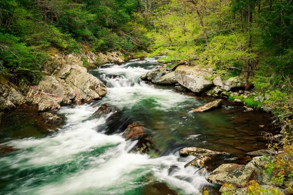Jason Clemmons 24 x 36 Open Edition Giclee on Canvas:"Along the Little River"