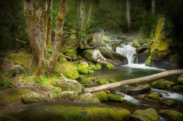 Jason Clemmons 24 x 36 Open Edition Giclee on Canvas:"Creekside in the Smokies"