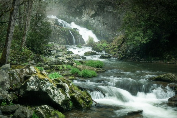 Jason Clemmons 24 x 36 Open Edition Giclee on Canvas:"Even Flow"