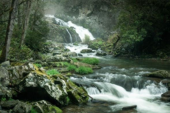 Jason Clemmons 24 x 36 Open Edition Giclee on Canvas:"Even Flow"