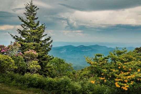 Jason Clemmons 24 x 36 Open Edition Giclee on Canvas:"Looking into the Valley of Looking Glass"