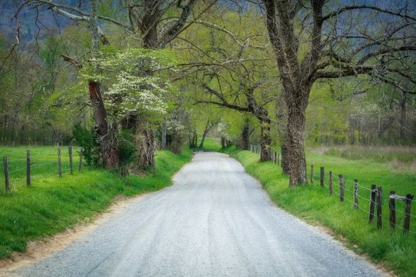 Jason Clemmons 24 x 36 Open Edition Giclee on Canvas:"Sparks"