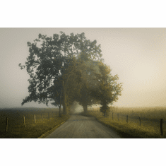 Gallerydirectart