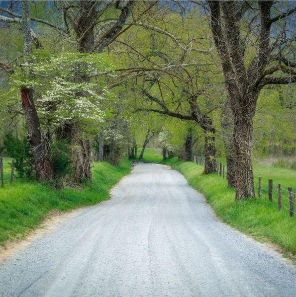 Jason Clemmons 30 x 30 Open Edition Giclee on Canvas:"Sparks - Crop"