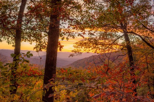 Jason Clemmons 30 x 45 Open Edition Giclee on Canvas:"Appalachian Dreaming"