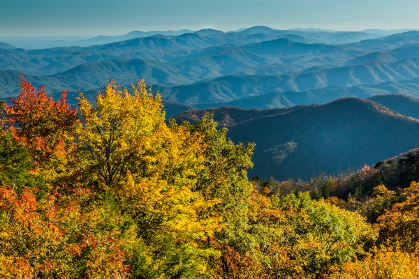 Jason Clemmons 30 x 45 Open Edition Giclee on Canvas:"Appalachian Waves"