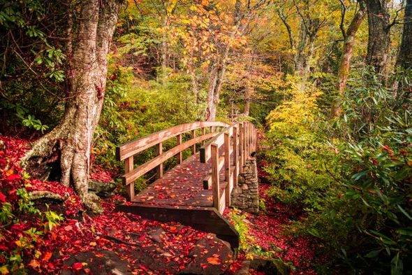 Jason Clemmons 30 x 45 Open Edition Giclee on Canvas:"Bridge to Rough Ridge"