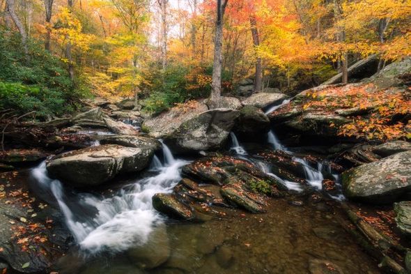 Jason Clemmons 30 x 45 Open Edition Giclee on Canvas:"Falling for You"