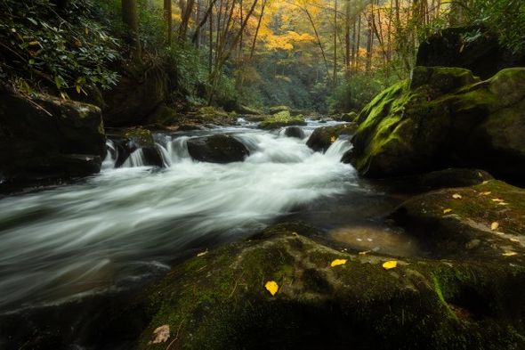 Jason Clemmons 30 x 45 Open Edition Giclee on Canvas:"Go With the Flow"