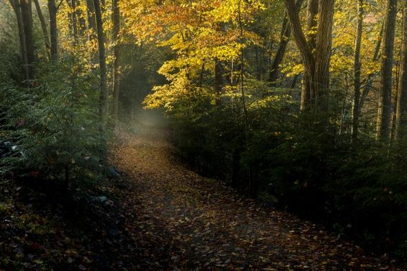 Jason Clemmons 30 x 45 Open Edition Giclee on Canvas:"Leaving It Behind"