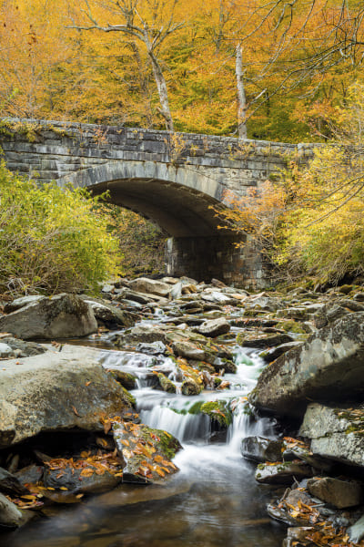 Jason Clemmons 36 x 24 Open Edition Giclee on Canvas:"Bridge to the Smokies"