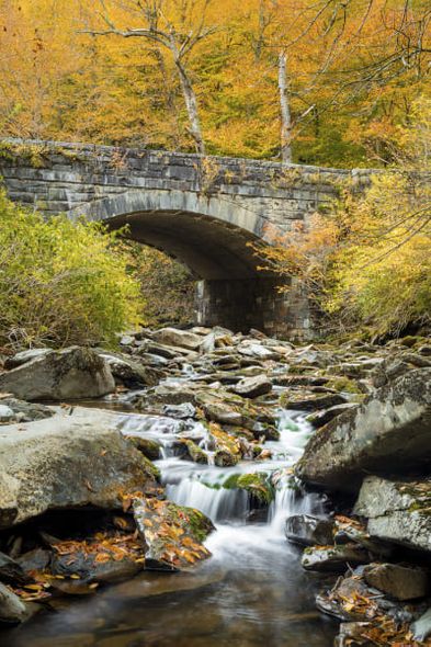 Jason Clemmons 36 x 24 Open Edition Giclee on Canvas:"Bridge to the Smokies"