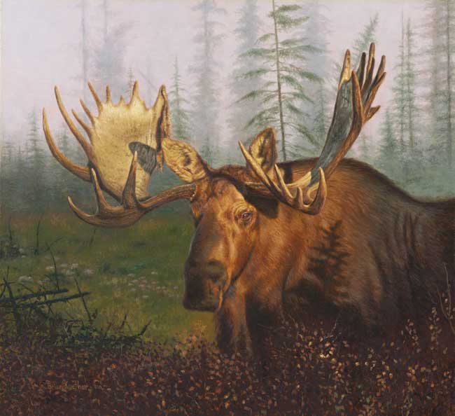 Brian Kuether Limited Edition Print:"Early Morning Moose"