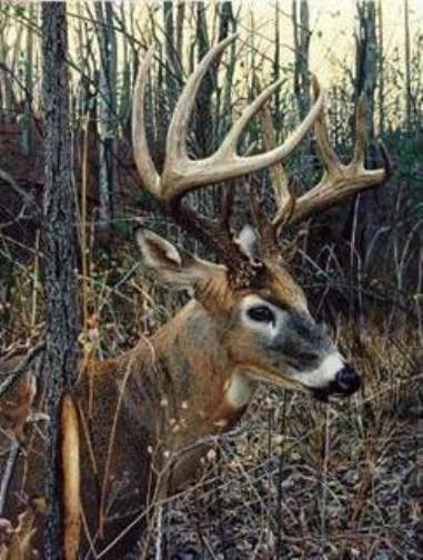 Jay Kemp Signed and Numbered Limited Edition Lithograph: "In His Domain"
