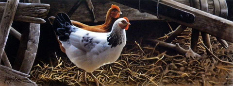 Jerry Gadamus Print-Signed and Numbered:"Barnyard Buddies"