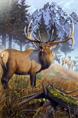Jerry Gadamus Print-Signed and Numbered:"Blue Mountain Bugler"